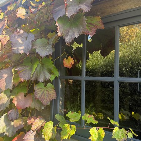 Elm Cottage Barn Oatlands Exterior foto